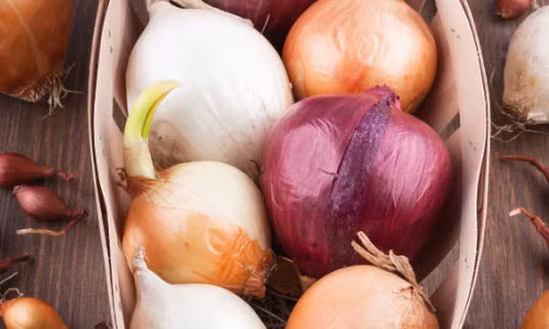 Ảnh minh họa: MagforWomen