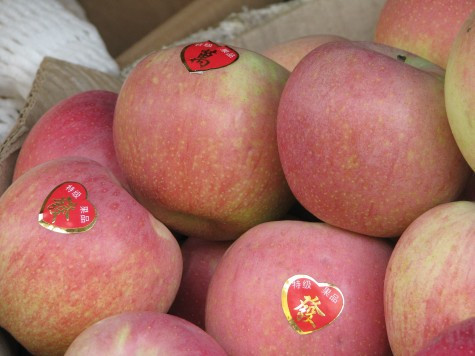 Loại táo to, căng mọng trông khá bắt mắt vẫn còn nguyên tem Trung Quốc.