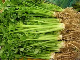 Vì rất giàu các chất có hiệu lực nên cần tây còn có một tên gọi khác là celery, theo nghĩa Latin là “tác động nhanh”. Vì rất giàu các chất có hiệu lực nên cần tây còn có một tên gọi khác là celery, theo nghĩa Latin là “tác động nhanh”.