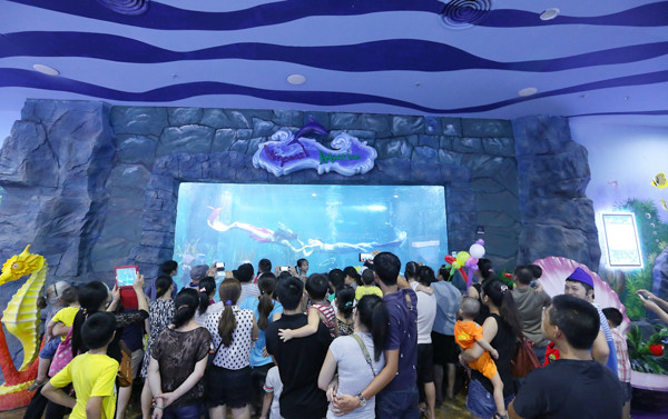 Hãy cùng Thủy cung Vinpearl Land chung tay bảo vệ động vật quý hiếm. Hãy cùng Thủy cung Vinpearl Land chung tay bảo vệ động vật quý hiếm.
