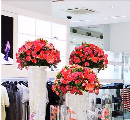 Hình ảnh Milano Việt Nam đẹp lung linh thuở nào.