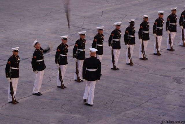 Tung trượt Tung trượt