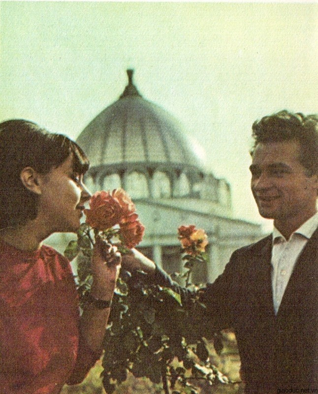 Nam thanh nữ tú tặng hoa thể hiện tình yêu Nam thanh nữ tú tặng hoa thể hiện tình yêu