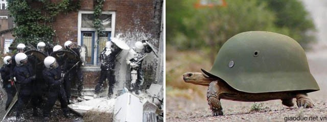 Ăn đạn bột còn sợ hơn đạn thật (trái). Mũ sắt của lính biến thành áo giáp cho rùa (phải) Ăn đạn bột còn sợ hơn đạn thật (trái). Mũ sắt của lính biến thành áo giáp cho rùa (phải)