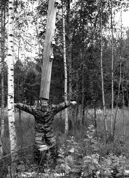 Cột điện sống Cột điện sống