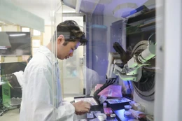 Trường đại học sẽ xét tuyển ngành Khoa học cơ bản bằng những tổ hợp nào?