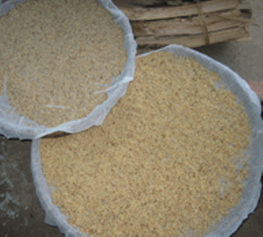 Trứng kiến ngạt được lấy từ rừng cũng chế biến thành món ăn bổ dưỡng giàu đạm. Trứng kiến ngạt được lấy từ rừng cũng chế biến thành món ăn bổ dưỡng giàu đạm.