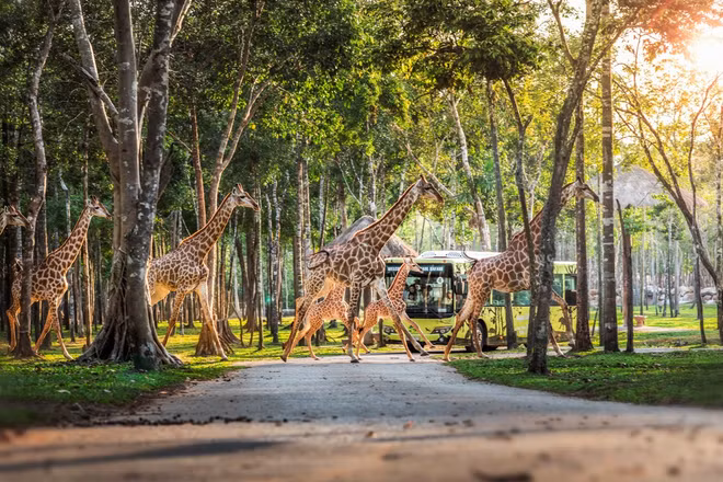 Những hành khách đặc biệt bay chuyên cơ tới Safari giữ kỷ lục kép của Vinpearl giờ ra sao? 