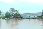 Tập trung ứng phó với lũ trên sông Ba ở Đắk Lắk và sông Kôn ở Gia Lai