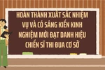 Tôi thấy hoàn thành xuất sắc nhiệm vụ và có sáng kiến mới đạt Chiến sĩ thi đua cơ sở là hợp lý