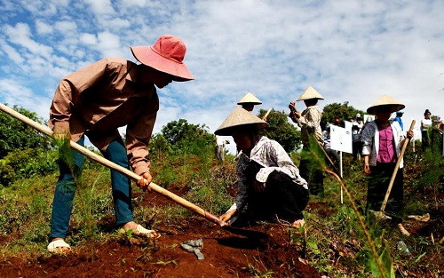 Đồng bào dân tộc tại Điện Biên cùng tham gia trồng cây cùng Quỹ 1 triệu cây xanh cho Việt Nam. Đồng bào dân tộc tại Điện Biên cùng tham gia trồng cây cùng Quỹ 1 triệu cây xanh cho Việt Nam.