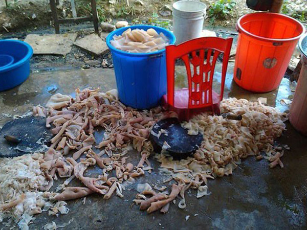 Hình ảnh cơ sở xuất nem chua Hoa Cải tại địa chỉ tổ 1, khu 2, phường Ba Đình, thị xã Bỉm Sơn. Hình ảnh cơ sở xuất nem chua Hoa Cải tại địa chỉ tổ 1, khu 2, phường Ba Đình, thị xã Bỉm Sơn.