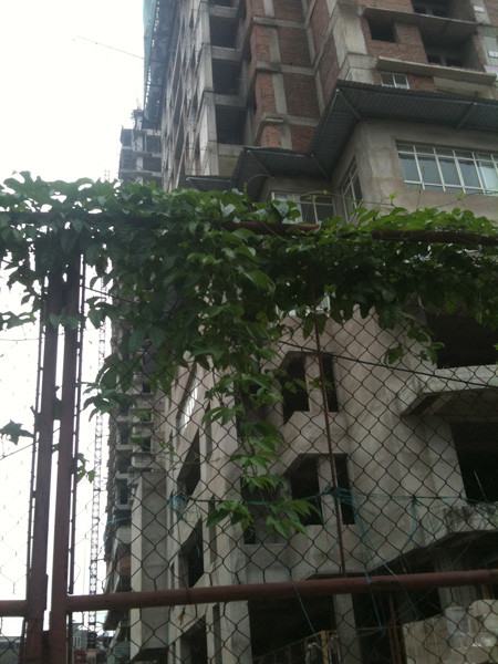 Đến thời điểm hiện tại, chung cư 52 Lĩnh Nam vẫn không có dấu hiệu thi công.