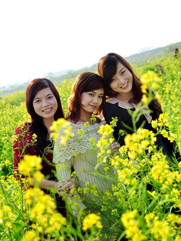 Sắc vàng của vườn cải trở thành phông nền cho những bộ váy áo màu đỏ, đen và nuy của teen. Sắc vàng của vườn cải trở thành phông nền cho những bộ váy áo màu đỏ, đen và nuy của teen.