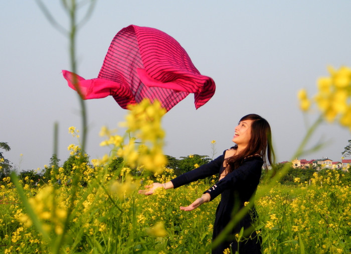 Cảm xúc thăng hoa khi ngắm nhìn những chiếc khăn sặc sỡ tung bay trong vườn cải. Cảm xúc thăng hoa khi ngắm nhìn những chiếc khăn sặc sỡ tung bay trong vườn cải.