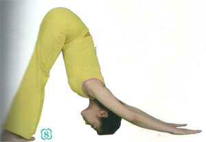 8. Đầu quay về chính giữa, hai mũi chân chỉ xuống đất, hít thở, mông hướng lên phía trên, hít thở, ép hai vai xuống làm cho trán và tay cùng chạm đất.