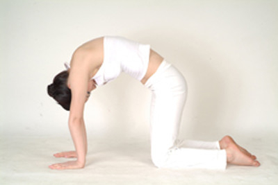 3. Hít thở, cúi đầu, cong sống lưng, khom lưng lại, hai mắt nhìn về phía bụng, khi cột sống hướng về trước, đầu cố gắng giữ vững vị trí giữa hai tay.