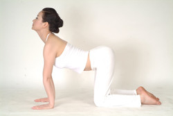 2. Hít thở, ngẩng đầu, hóp bụng, nâng mông, hai mắt nhìn về phía trước, bả vai buông lỏng, cánh tay không uốn cong.