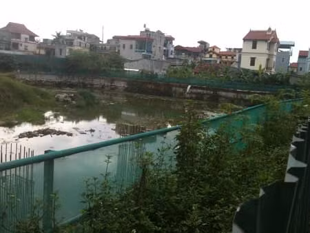 Phía trong dự án tòa nhà 25 tầng đã đào móng và làm ao... nuôi muỗi. Ảnh P.T Phía trong dự án tòa nhà 25 tầng đã đào móng và làm ao... nuôi muỗi. Ảnh P.T