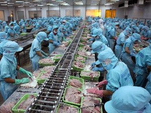 Dây chuyền sản xuất của công ty. Ảnh NLD Dây chuyền sản xuất của công ty. Ảnh NLD
