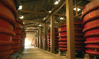 Phú Quốc còn nổi tiếng với thương hiệu nước mắm