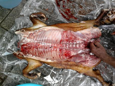 Thịt lợn rừng, món ăn khoái khẩu của rất nhiều người. Thịt lợn rừng, món ăn khoái khẩu của rất nhiều người.