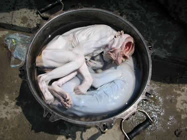 Người ta nhẫn tâm lấy óc khỉ để ăn và thân con khỉ để nấu cao. Ảnh Thiennhien.net Người ta nhẫn tâm lấy óc khỉ để ăn và thân con khỉ để nấu cao. Ảnh Thiennhien.net