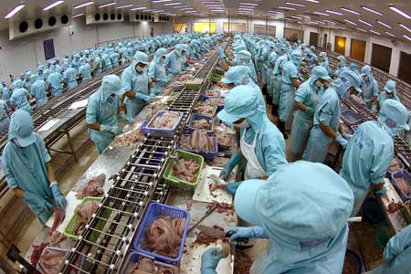 Công nhân đã trở lại Bianfishco để làm việc từ hôm nay. Ảnh Dantri Công nhân đã trở lại Bianfishco để làm việc từ hôm nay. Ảnh Dantri