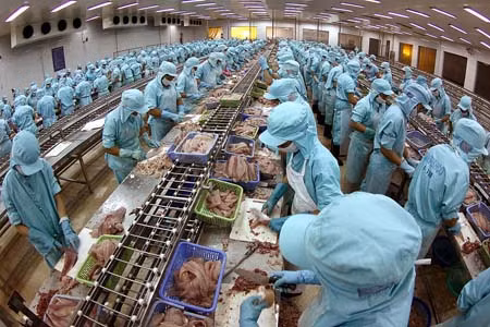 Công nhân đã trở lại Bianfishco để làm việc từ hôm nay. Ảnh Dantri