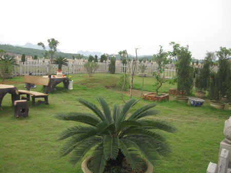 Cây cỏ đều được tưới và chăm sóc hàng ngày nên luôn xanh tốt Cây cỏ đều được tưới và chăm sóc hàng ngày nên luôn xanh tốt