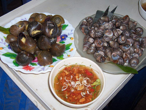 Món ốc ở đây rất ngon nên thường đông khách. Vị khách nào mà lỡ miệng thắc mắc liền bị bà chủ quán nhắc nhở. Món ốc ở đây rất ngon nên thường đông khách. Vị khách nào mà lỡ miệng thắc mắc liền bị bà chủ quán nhắc nhở.