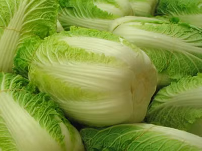 5. Cải thảo cũng không nằm ngoại lệ