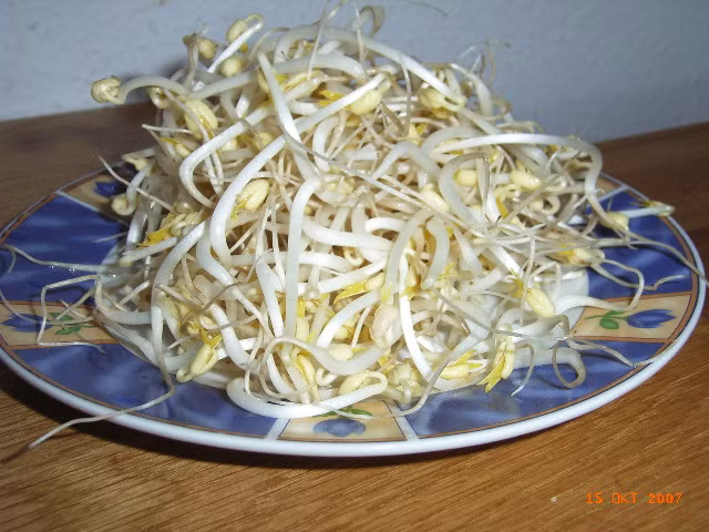 Tuy nhiên chạy theo lợi nhuận, nhiều cách ngâm giá đỗ hiện nay của người bán rất nguy hiểm cho người dùng bởi lượng hóa chất quá lớn