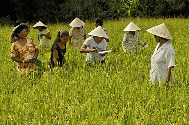 Ảnh minh họa Ảnh minh họa