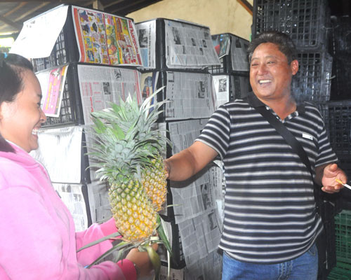 Sau dừa, cua, khoai lang, đỉa...thương lái TQ đang tranh nhau mua khóm(dứa) Sau dừa, cua, khoai lang, đỉa...thương lái TQ đang tranh nhau mua khóm(dứa)