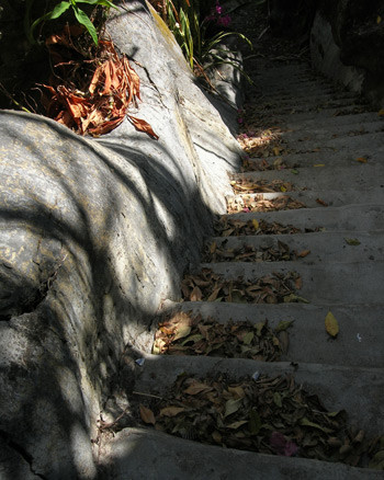 Mỗi ngày, khu du lịch sinh thái Bình Anchỉ đón vài người lên núi vãn cảnh, không náo nhiệt như thời gian đầu mới đưa vào hoạt động. Mỗi ngày, khu du lịch sinh thái Bình Anchỉ đón vài người lên núi vãn cảnh, không náo nhiệt như thời gian đầu mới đưa vào hoạt động.