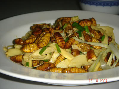 Đây là loài thực phẩm vừa ngon vừa bổ Đây là loài thực phẩm vừa ngon vừa bổ