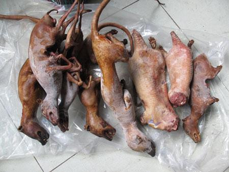 Cho đến thịt chồn, thịt tê tê, thịt nhím Cho đến thịt chồn, thịt tê tê, thịt nhím