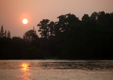 ừng phòng hộ trước mặt dự án Diamond Island trong ráng chiều.