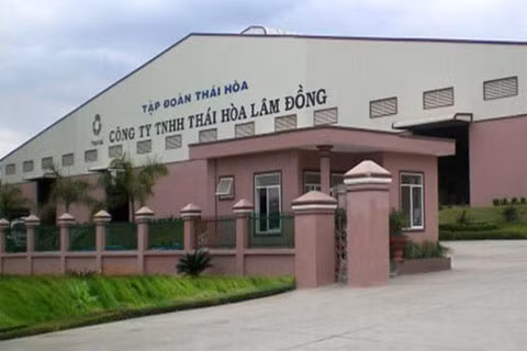 4. Tập đoàn Thái Hòa cũng vừa cho ra báo cáo tài chính với con số 1.226 tỷ đồng tiền nợ. Đây là các khoản kê khai nợ, bao gồm cả nợ của công ty mẹ Thái Hòa và các đơn vị con. Trong đó, chỉ có 70% là nợ quá hạn, tương đương khoảng hơn 800 tỷ đồng. Còn 30% vẫn là nợ bình thường và trong mức cấp vốn kinh doanh.