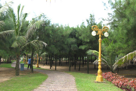 Du khách của thể thả hồn mình vào những rạng thông xanh nghe tiếng thì thào của sóng biển Du khách của thể thả hồn mình vào những rạng thông xanh nghe tiếng thì thào của sóng biển