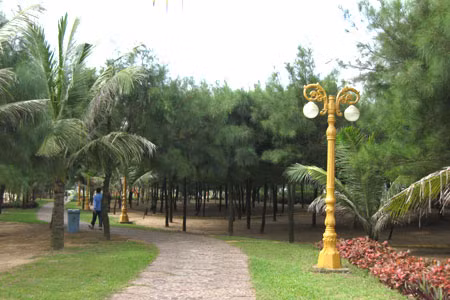 Du khách của thể thả hồn mình vào những rạng thông xanh nghe tiếng thì thào của sóng biển