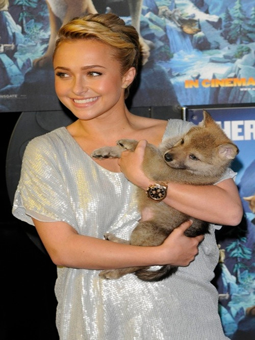 Ngôi sao phim truyền hình “Heroes” Hayden Panettiere diện chiếc đồng hồ Rolex đính kim cương, mặt đen. Ngôi sao phim truyền hình “Heroes” Hayden Panettiere diện chiếc đồng hồ Rolex đính kim cương, mặt đen.