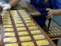 Vàng phi SJC có điêu đứng vì nghị định 24? Vàng phi SJC có điêu đứng vì nghị định 24?