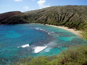 Từ lâu, đảo này nằm dưới sự kiểm soát của tỷ phú David Murdock, Chủ tịch kiêm CEO của Castle & Cooke. Ông Murdock cũng chính là người đóng cửa các đồn điền trồng dứa trên đảo Lanai để phát triển các khu nghỉ dưỡng và sân golf.