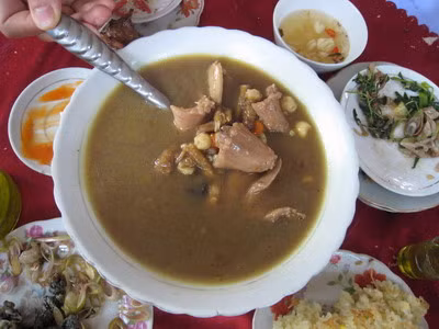 Món ăn chế biến từ rắn hổ hành