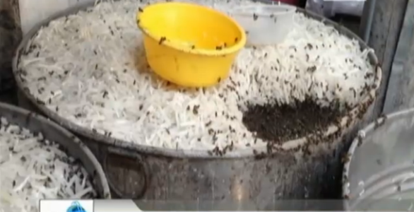 Xác côn trùng còn nổi lềnh phềnh trên váng nước, lẫn lộn trong những miếng mứt ngâm đường. Xác côn trùng còn nổi lềnh phềnh trên váng nước, lẫn lộn trong những miếng mứt ngâm đường.