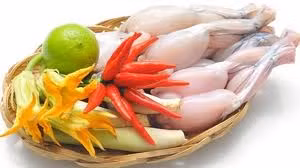 Trong cơ cóc hay còn gọi là thịt cóc không có chất độc. Trong cơ cóc hay còn gọi là thịt cóc không có chất độc.