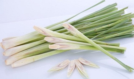 Theo Đông y, sả vị the, mùi thơm, tính ấm, có tác dụng làm ra mồ hôi, thông tiểu tiện và tiêu thực. Theo Đông y, sả vị the, mùi thơm, tính ấm, có tác dụng làm ra mồ hôi, thông tiểu tiện và tiêu thực.