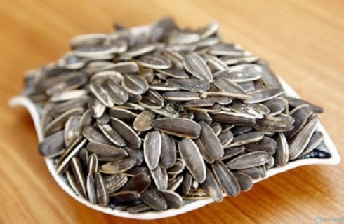 Hướng dương bị đồn có chất gây teo não. Hướng dương bị đồn có chất gây teo não.